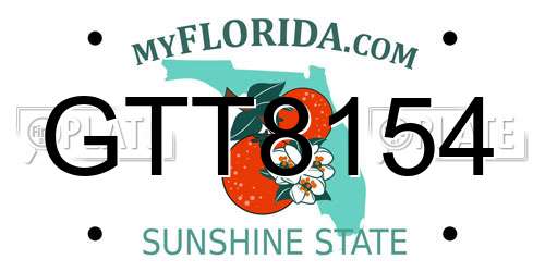 GTT8154 Florida License Plate