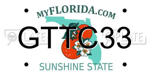GTTC33 Florida License Plate