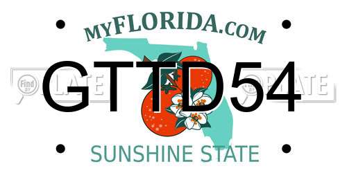 GTTD54 Florida License Plate