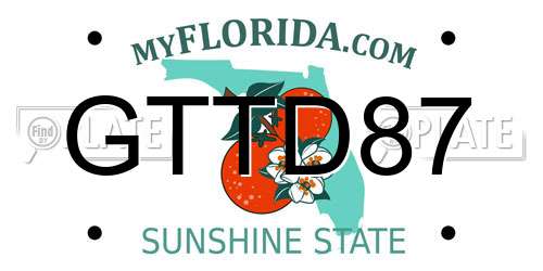 GTTD87 Florida License Plate