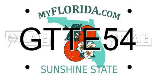 GTTE54 Florida License Plate