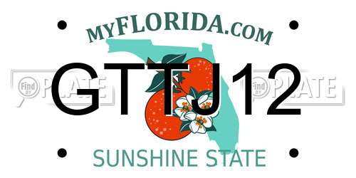GTTJ12 Florida License Plate