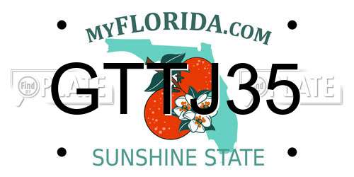 GTTJ35 Florida License Plate
