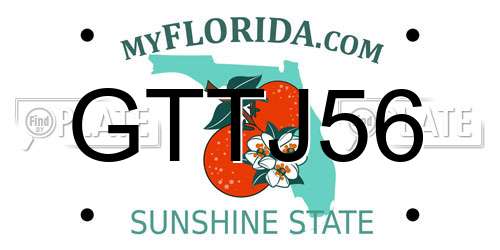 GTTJ56 Florida License Plate