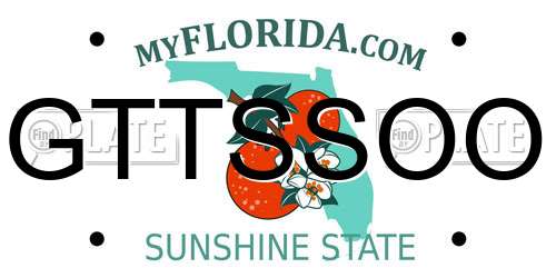 GTTSSOO Florida License Plate