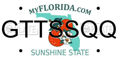 GTTSSQQ Florida License Plate