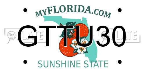 GTTU30 Florida License Plate