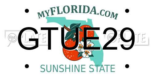 GTUE29 Florida License Plate