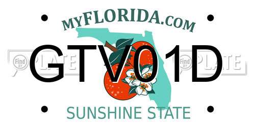 GTV01D Florida License Plate