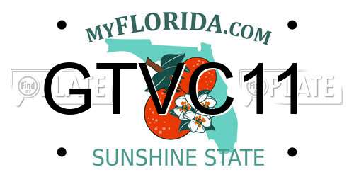 GTVC11 Florida License Plate