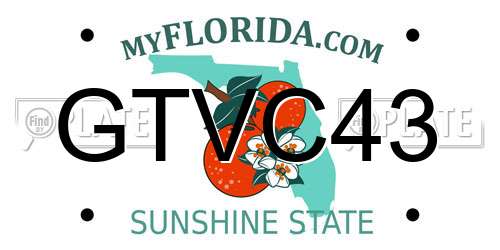 GTVC43 Florida License Plate