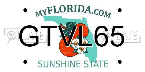 GTVL65 Florida License Plate