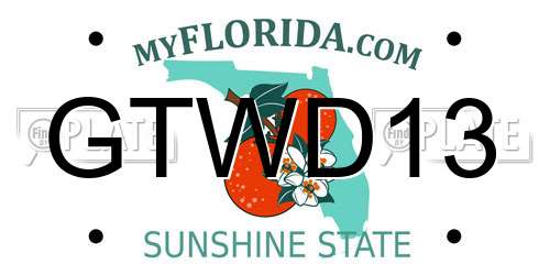 GTWD13 Florida License Plate