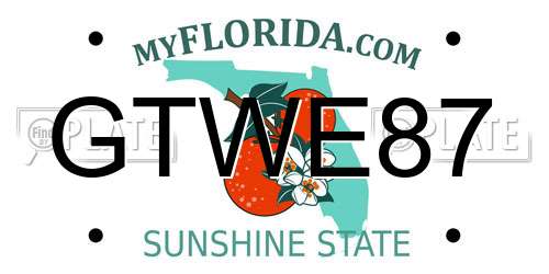 GTWE87 Florida License Plate