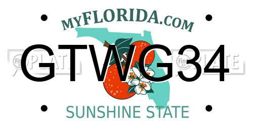 GTWG34 Florida License Plate
