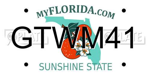 GTWM41 Florida License Plate