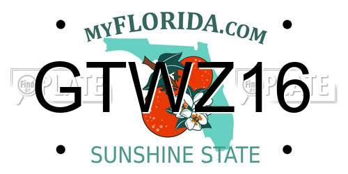 GTWZ16 Florida License Plate