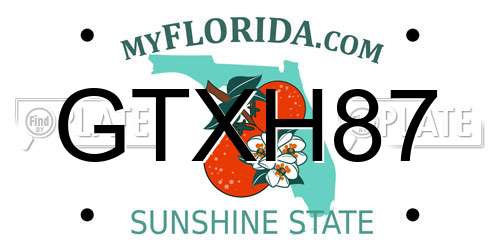 GTXH87 Florida License Plate