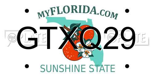 GTXQ29 Florida License Plate
