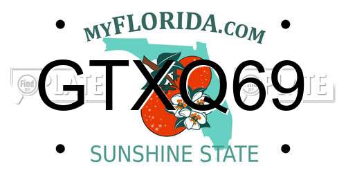 GTXQ69 Florida License Plate