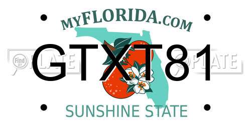 GTXT81 Florida License Plate