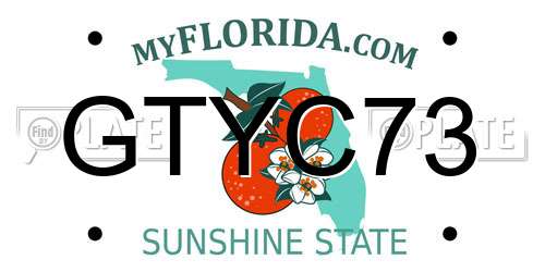 GTYC73 Florida License Plate