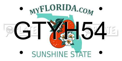GTYH54 Florida License Plate