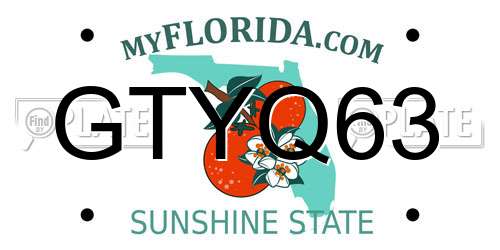 GTYQ63 Florida License Plate