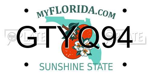 GTYQ94 Florida License Plate