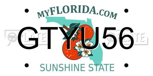 GTYU56 Florida License Plate