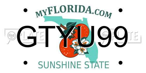 GTYU99 Florida License Plate