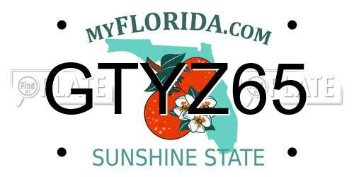 GTYZ65 Florida License Plate