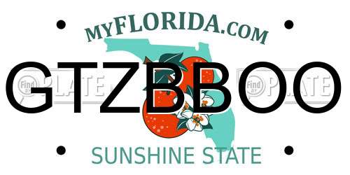 GTZBBOO Florida License Plate