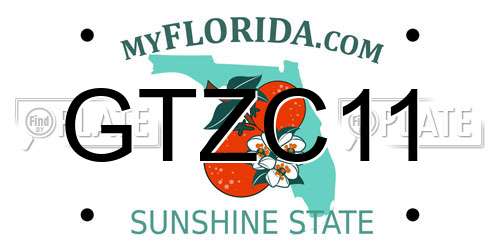 GTZC11 Florida License Plate