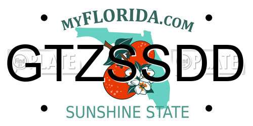 GTZSSDD Florida License Plate