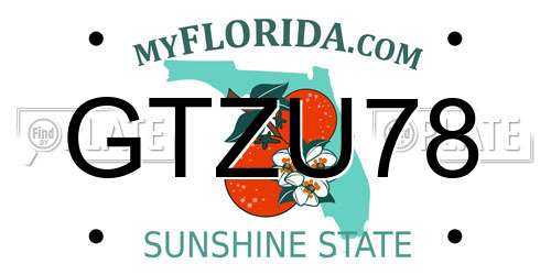 GTZU78 Florida License Plate