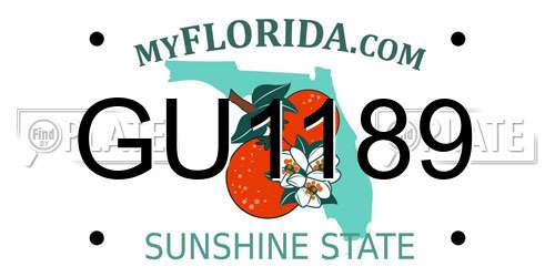GU1189 Florida License Plate