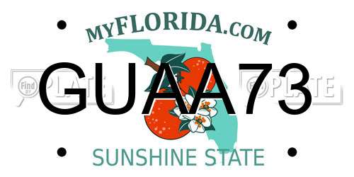 GUAA73 Florida License Plate