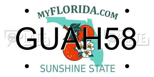 GUAH58 Florida License Plate