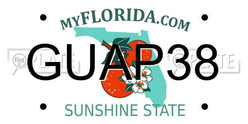 GUAP38 Florida License Plate