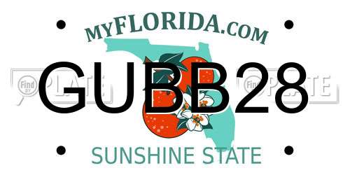 GUBB28 Florida License Plate
