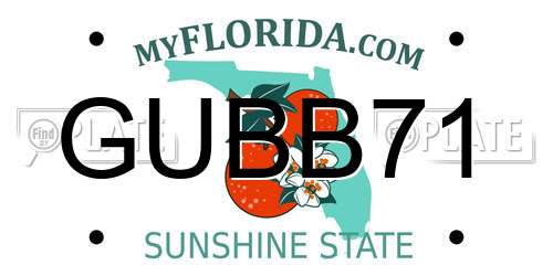 GUBB71 Florida License Plate