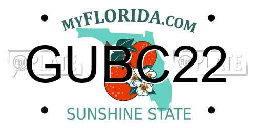 GUBC22 Florida License Plate