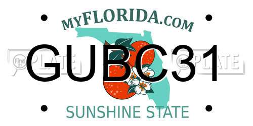 GUBC31 Florida License Plate
