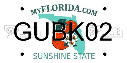 GUBK02 Florida License Plate