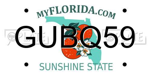 GUBQ59 Florida License Plate