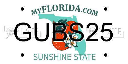GUBS25 Florida License Plate