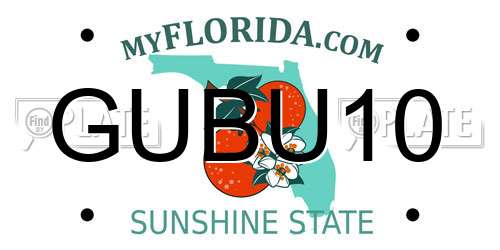 GUBU10 Florida License Plate