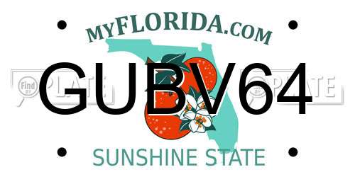 GUBV64 Florida License Plate