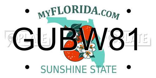 GUBW81 Florida License Plate